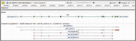 Example view of query and selected subject sequences in the graphical sequence viewer. The subject sequences are selected mRNAs found by a megaBLAST search against nt with the genomic region for the gulonolactone (l-) oxidase gene of Rattus norvegicus (bases 48 898 799–48 921 150 of NC_005114.3) as the query. The viewer shows the query sequence at the top of the figure. Next, the Gulo gene feature on the query sequence is shown in green. This track was enabled with the ‘configure’ feature of the viewer. Finally, the subject sequences are shown as ‘cleaned alignments’, which presents an overview of the alignments that groups matches from the same subject sequence with a thin line and adds an accession label. The red color in the subject sequences represents mismatches to the query.