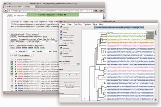 Sequence data set refinement at the MAFFT web server through Archaeopteryx. Shown as inset is a view of the Archaeopteryx applet, in which a single node containing six sequences is selected (highlighted in bright green with parent node marked by a circle). The parental web browser window shows an HTML page with a list of sequences in the present data set, in which the six sequences selected in Archaeopteryx are newly selected with ticks on the left. The colouring of the different sequences indicates their taxonomic categorization (detailed in the ‘Species’ page of the aLeaves server).