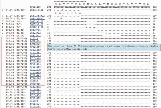 Example IgBLAST result of searching against the germline gene databases and the NCBI nr database simultaneously. A mouse IG sequence (GenBank accession AF104468) was searched against the default mouse germline gene databases [IMGT mouse V genes (F + ORF + in-frame P), IMGT mouse D genes (F + ORF + in-frame P) and IMGT mouse J genes (F + ORF + in-frame P)]. The ‘organism’ field was set to mouse, and the nr database was selected for the ‘additional database’ field. Default values are used for all other parameters, except the ‘number of alignments for additional database’ was 25. The light blue pop-up message box is a feature that displays the sequence title when the mouse pointer is moved over the sequence identifier (i.e. the accession AF021857 in the example). Only part of the result page is shown because of space limitation. A red box was added to indicate the hits from the nr databases that have 100% matches to the query over the 290 bases. The search was performed on 25 February 2013.