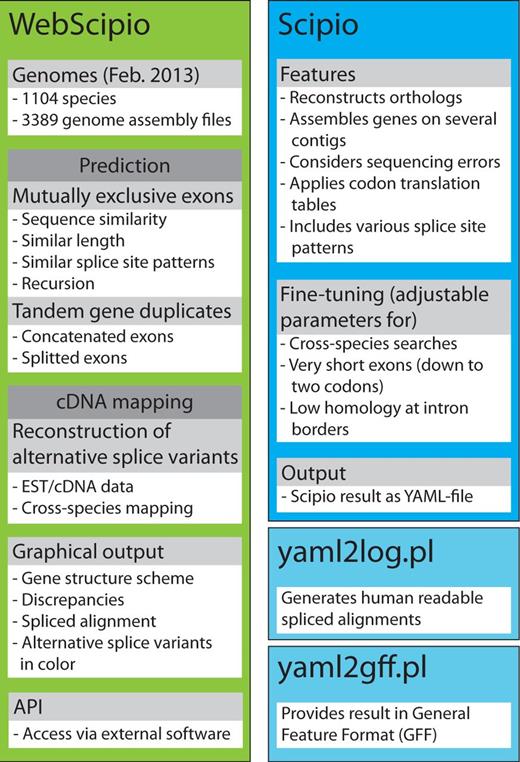 The scheme summarizes the most important features of Scipio and WebScipio. Scipio’s main task is the exact reconstruction of the gene structure of given protein sequences, but it can also be used to identify homologues within the same and in related species. WebScipio is the graphical interface to Scipio providing access to almost all sequenced eukaryotes. In addition, it allows the prediction of mutually exclusive exons and tandemly arrayed gene duplicates, and the reconstruction of all types of alternative splice variants based on cDNA/EST mapping.