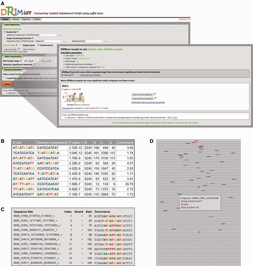 A view of DRIMust input and output pages. We ran DRIMust on the HOXA2-binding regions from the ChIP-seq experiment by Donaldson et al. (38). In this data set, the DNA sequences were ranked according to their binding P-values (as defined by Donaldson et al.). DRIMust was run using the double-strand search mode, and the rest of the parameters were set to default. The full data set is provided as an example in the manual page of DRIMust web server. (A) When clicking the submit button (bottom left), an output page, summarizing the best motifs found, is shown to the user. (B) By clicking the ‘view list’ button, the user is provided with a list of the significant k-mers and the statistical details of each motif. (C) By clicking the ‘view occurrences alignment’ button, the user is provided with an aligned list of motif occurrences mapped into the input sequences. (D) By clicking the ‘view occurrences distribution’ button, a window depicting the occurrences of the motif in the query sequences is opened. More details on each occurrence are shown when placing the cursor on the occurrence box.