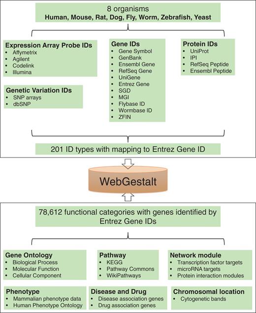 Summary of organisms, gene identifiers and functional categories supported by WebGestalt.