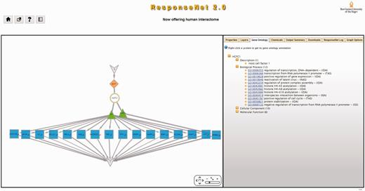 An example of ResponseNet2.0 output. The human protein BAP1 is a deubiquitinating enzyme that acts as a regulator of cell growth by mediating deubiquitination of HCFC1, and is frequently mutated in uveal melanomas. We used ResponseNet2.0 to identify a regulatory subnetwork that connects BAP1 to human genes that were found to be down-regulated in melanoma cell lines. ResponseNet correctly predicted the BAP1-interacting protein HCFC1, and connected HCFC1 to two transcription factors, GABPA and SP1, that regulate the transcription of 16 target genes. Notably, SP1 was previously linked to melanoma (33). S and T are auxiliary nodes that are part of ResponseNet formulation.