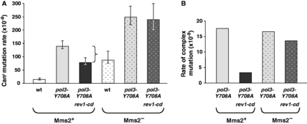 Effect of the rev1-cd mutation on DRIM in Mms2-proficient and Mms2-deficient background. The diagrams show the rate of Canr mutation (A) and complex mutation (B) in the wild-type, pol3-Y708A and pol3-Y708A rev1-cd strains in the presence and absence of Mms2. Data in (A) are from Supplementary Table S1 and are medians and 95% confidence limits for at least 18 independent cultures. The bracket represents the difference in mutation rate for the pol3-Y708A and pol3-Y708A rev1-cd strains. Data in (B) are from Supplementary Table S2.