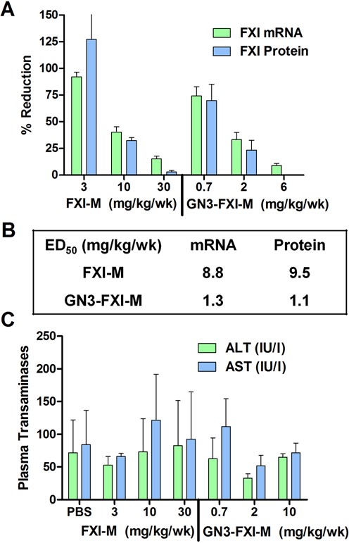 GalNAc conjugation enhances potency of mouse FXI ASO FXI-M. (A) Mice (Balb-c, n = 4/group) were injected subcutaneously with FXI-M (1.5, 5 and 15 mg/kg) and GN3-FXI-M (0.35, 1 and 5 mg/kg) twice weekly for 3 weeks. (B) ED50 (mg/kg/wk) for reducing FXI mRNA in mouse liver and FXI protein in plasma. (C) FXI-M and GN3-FXI-M were well tolerated with no elevations in serum transaminases after 3 weeks of dosing. One animal from FXI-M (3 mg/kg group) was omitted because of anomalous transaminase reading. All data are expressed as mean ± SD. ALT, alanine aminotransferase; AST, aspartate aminotransferase.