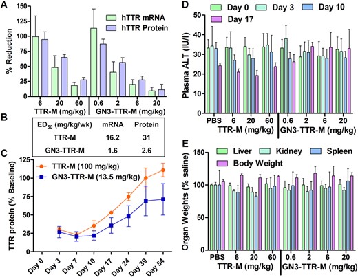 (A) Reduction of human TTR mRNA in transgenic mouse (TTR-Ile84Ser, n = 4/group) liver and hTTR protein in plasma following subcutaneous injection of TTR-M (1, 3, 10 and 30 mg/kg) and GN3-TTR-M (0.3, 1, 3 and 10 mg/kg) once a week for 3 weeks. (B) ED50 (mg/kg/wk) for reduction of hTTR mRNA in mouse liver and protein in plasma. (C) Recovery of hTTR protein in mouse plasma following subcutaneous injection of TTR-M (100 mg/kg) or GN3-TTR-M (13.5 mg/kg). Tolerability data from the 3-week study showing no drug-induced elevations in (D) plasma transaminases or (E) organ weights. All data are expressed as mean ± SD.