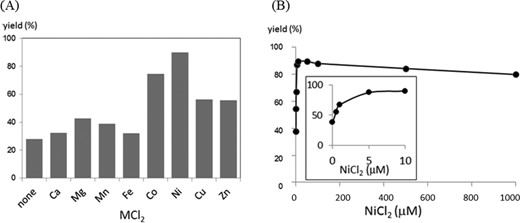 Effect of metal cations on the transfer yield. (A) Comparison of the yields in the presence of 5 μM of MCl2. (B) Effect of the concentration of NiCl2. The transfer yields at 1 h are compared. The reaction conditions are the same as described in the footnote to Figure 3 except that the yield was measured after 60 min.