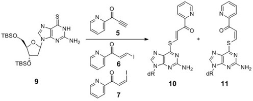 Model experiments to determine (E)- and (Z)-stereochemistry of the transfer unit of 6-thio-dG.