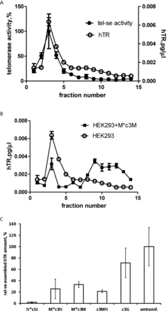 Amount of hTR incorporated into telomerase complex. (A) Distribution of hTR (○) and telomerase activity (•) after separation of HEK 293 cell-free extract in sucrose gradient. (B) Comparison of hTR distribution after separation of HEK293 cell-free extract (○) and cell-free extract at the presence of M*c3M chimera (▪). (C) The estimated assembly level of telomerase complex in the presence of chimeric oligonucleotides in vivo.
