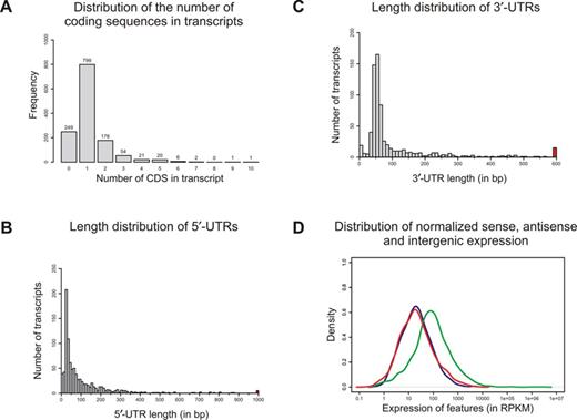 Transcriptome annotation and expression. (A) Frequency for transcripts containing different numbers of genes. (B) 5′-UTR length distribution of 918 annotated protein coding genes on the ring chromosome for which a distinct primary TSS could be assigned. 5′-UTRs longer than 1000 nt were collapsed into one colored bin. (C) 3′-UTR length distribution of 709 annotated protein coding genes for which a distinct TES could be assigned. 3′-UTRs longer than 600 nucleotides were collapsed into one colored bin. (D) Expression values in RPKM for genes (green), antisense transcription (red) and intergenic regions (blue).
