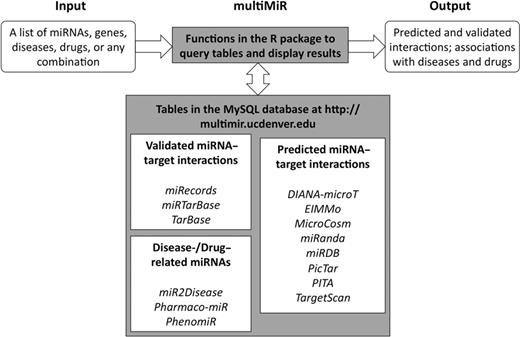 multiMiR components and data workflow. multiMiR components, including R functions and database are highlighted in grey. Data analysis flow is denoted by arrows.