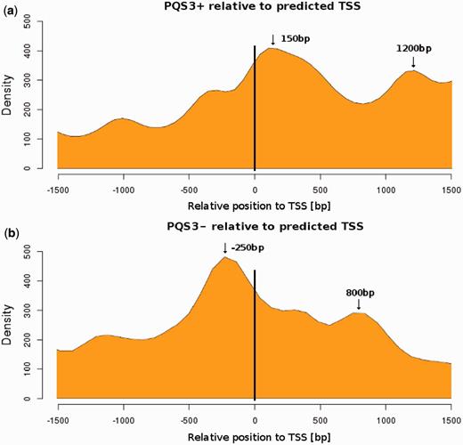 Localization of PQS in relation to predicted transcription start site (TSS). The density of PQS clusters (containing a minimum of 4 GGG runs) in LTR retrotransposons in the (a) sense orientation (PQS3+) and (b) antisense orientation (PQS3−) relative to the predicted TSS (negative values correspond to upstream position, positive values to downstream position). The preferential distances of PQS from TSS are marked by arrows.