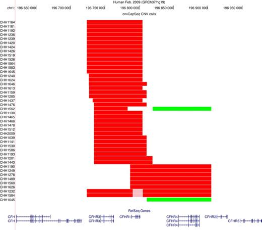 Graphical representation of our CNV calls. The UCSC genome browser was used to plot the CNVs detected by cnvCapSeq along with the affected genes. Red color denotes heterozygous deletion, pink denotes homozygous deletion and green corresponds to three copies.