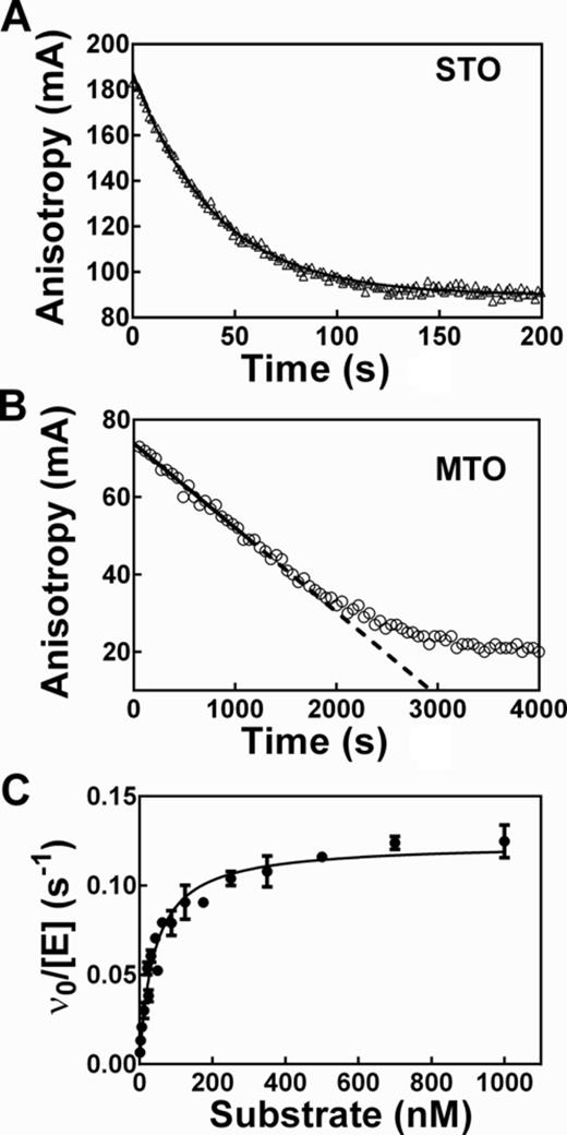 Measurement of pre-tRNA cleavage catalyzed by RNase P using fluorescence anisotropy (FA). (A) The time-dependent change in FA was measured under single-turnover (STO) conditions in buffer A ( 50 mM Tris/MES pH 5.5, 10 mM MgCl2, 200 mM KCl, 20 mM DTT) with 25 nM Fl-pre-tRNAAsp and 500 nM Bacillus subtilis RNase P holoenzyme at 37°C. The solid line is a single exponential fit to the data with kobs = 0.0250 ± 0.0002 s−1; when Equation (2) was used to adjust for the change in total florescence and Equation (1) was fit to the data, the kobs = 0.032 ± 0.001 s−1. (B) The time-dependent change in FA was measured under multiple-turnover (MTO) conditions in buffer C (50 mM Tris–HCl pH 8, 10 mM MgCl2, 100 mM KCl, 20 mM DTT) with 20 nM Fl-pre-tRNAAsp, 0.4 nM B. subtilis RNase P and 4 nM P protein at 37°C. Total fluorescence does not change for multiple turnover reactions. The steady-state cleavage velocity is measured from the linear initial rate (solid line). (C) Steady-state kinetic parameters were determined from the dependence of the MTO initial rate on substrate concentration. Reaction conditions are the same as in B except for varying RNase P (0.3–1 nM) and Fl-pre-tRNAAsp (2 nM–1 μM) concentrations. Results are from three independent experiments and the error bars are the standard deviations. The Michaelis–Menten equation was fit to the data yielding: kcat = 0.124 ± 0.003 s−1, KM = 40 ± 3 nM, kcat/KM = 3100 ± 200 mM−1s−1.