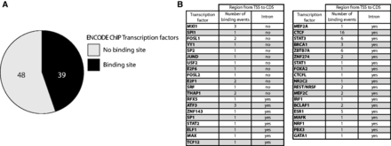 Transcription factors potentially subjected to an auto-regulation. (A) Pie chart depicting the proportion of the 87 sequence-specific transcription factors from ENCODE ChIP-seq experiments (49) having a binding event in their own 5′ non-coding region (5′ non-coding exon and introns located before the CDS). (B) Table summarizing the number on binding events found in the 5′ non-coding region of the 39 sequence-specific transcription factors. For each factor the presence or absence of at least one intron in the 5′ non-coding region is mentioned.