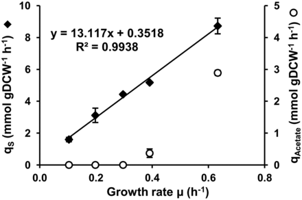Effect of growth rate on the glucose consumption rate and the acetate production rate. The specific glucose consumption rate (qS – solid diamonds) and acetate production rate (qAcetate – empty circles) with their respective standard deviations are plotted against the growth rate. The qS-associated linear regression equation is indicated on the graph. The inverse of the slope is equal to the growth yield (in g of dry cell weight per mole of glucose) which corresponds to the quantity of produced biomass per quantity of consumed glucose without maintenance associated processes. The intercept is the non-growth related maintenance (in mmol per gram of dry cell weight h−1).