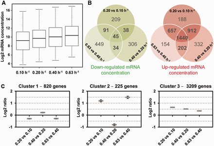 Effect of growth rate on transcript concentration. mRNA concentrations (4254 genes) are expressed in arbitrary units per g of dry cell weight. (A) Box plots of transcript concentrations at the four growth rates. Values are separated into four quartiles by horizontal bars. The central bar (in the middle of the rectangle) represents the median value. (B) Venn diagrams identify down-regulated transcript concentrations (green diagram) and up-regulated transcript concentrations (red diagram) common to the different growth rates (P-value < 0.01). (C) Clusters of mRNA concentration. Mean values and confidence intervals at 95% of the ratios of mRNA concentration are given in the three clusters (cluster 1, cluster 2, cluster 3) from left to right 0.20 versus 0.10 h−1, 0.40 versus 0.20 h−1 and 0.63 versus 0.40 h−1.