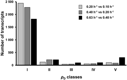 Distribution of transcripts in the five ρD classes. The degradation coefficient ρD was calculated for 2947 individual transcripts for the three growth rate comparisons (bars from left to right: 0.20 versus 0.10 h−1, 0.40 versus 0.20 h−1 and 0.63 versus 0.40 h−1). Regulatory classes named I to V were defined according to the ρD value: ρD < 0, class I; 0 < ρD < 0.4, class II; 0.4 < ρD < 0.6, class III; 0.6 < ρD < 1, class IV and 1 < ρD, class V. The signification of the ρD classes is: I – Mainly transcriptional control with differences in degradation and transcription having opposite effects, II – Mainly transcriptional control with differences in degradation and transcription acting in the same direction, III – Control almost equally divided between degradation and transcription, with the two acting in the same direction, IV – Mainly degradational control with differences in degradation and transcription acting in the same direction, V – Mainly degradational control with differences in degradation and transcription acting in opposite directions.