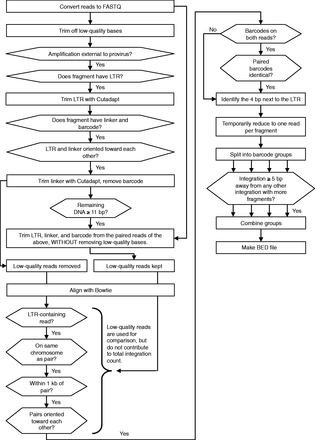 GeIST integration site mapping workflow. The GeIST workflow is available to download from http://research.nhgri.nih.gov/software/GeIST/. The details of each step are covered in the ‘Integration Site Mapping’ portion of the ‘Materials and Methods’ section. When the effect of a ‘no’ response is not explicitly stated, it is implied that reads failing to meet the criteria are removed from the analysis.