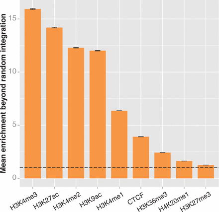 Enrichment of integrations in ChIP-seq peaks of chromatin marks in HepG2 cells. We compared experimental integrations and integrations in the 10 000 matched random control data sets to ChIP-seq peaks from the ENCODE project (29). We calculated enrichment as described in the caption of Figure 3. The error bars represent the standard deviation of the enrichment ratio. The dotted line indicates the level of enrichment expected by chance. The experimental integration counts for all marks are significantly different from random (determined as above, by bootstrapping; significance threshold = 0.0028; all differences from random have P < 0.0001). The enrichment values for each mark are all significantly different from each other, as determined by analysis of variance (P < 2 × 10−16) and Tukey’s multiple comparisons of means (all pairs differ with adjusted P < 10−7).