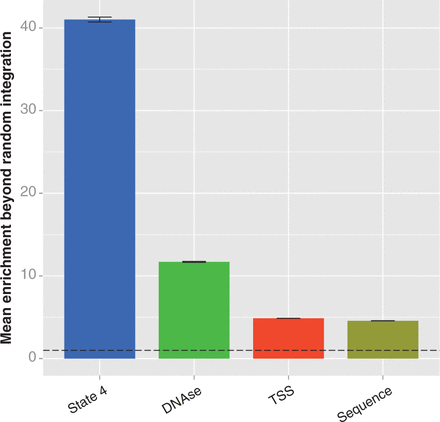 Comparison of integration enrichment across various genomic features in HepG2 cells. We compared the enrichment at features that are associated with MLV integration to measure their ability to explain non-random integration. We calculated enrichment as described in the caption of Figure 3. The error bars represent the standard deviation of the enrichment ratio, and the dotted line indicates the level of enrichment expected by chance. The enrichment values for each feature are all significantly different from random (determined as above, by bootstrapping; significance threshold = 0.00625; all differences from random have P < 0.0001), and different from each other, as determined by analysis of variance (P < 2 × 10−16) and Tukey’s multiple comparisons of means (all pairs differ with adjusted P < 10−7). Labels: state 4, the state 4 strong enhancers; DNAse, DNAse-sensitive regions; TSS, regions within 5 kb of a transcription start site; sequence, sites matching the TNVNNBNA motif.