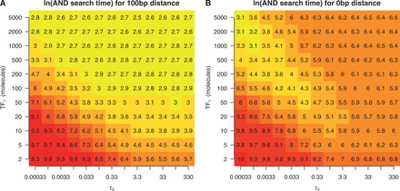 Heatmap of the ln of the first time all three sites are occupied in double sided barriers. We considered the promoter configuration ABA, where A is the target site of TF1 and B is the target site of TF2. The system consists of 10 molecules of TF2 with a binding affinity scaling parameter of ; see ‘Materials and Methods’ section. The distance between adjacent binding sites is (A) 100 bp and (B) 0 bp. We vary the abundance and DNA binding affinity of TF1.