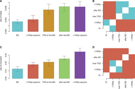 Differentialevolution of promoter components in E. coli. We compared (A) and (B) indel rates and (C) and (D) SNP rates between E. coli K-12 and other reference strains across different promoter regions. (B) and (D) display results of a paired-T-test with Holm corrections; significantly different promoter regions are red and insignificant pairs are blue (threshold: ). We considered the following five cases: (A) within binding sites (BSs), (B) between closely spaced binding sites (<100 bp spacers), (C) between binding sites farther than 100 bp (>100 bp spacers), (D) between TSS and first binding site (TSS to first BS) and (E) between the last binding site and the termination sequence (after last BS).