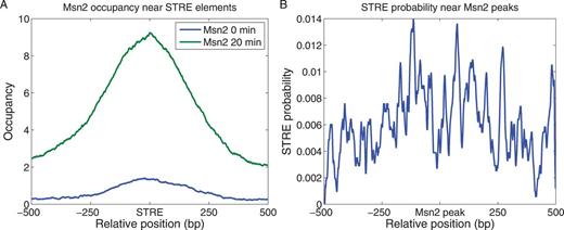Msn2 binds near STREs. (A) The average Msn2 occupancy at a particular site is plotted as a function of distance of that site from each of the 3150 promoter STREs (RGGGG motifs), before and 20 min after a glucose-to-glycerol downshift. (B) The likelihood of an STRE residing at a particular site is plotted as a function of distance of that site from each of the peaks of Msn2 binding identified in this study and listed in Supplementary Table S1. The values are calculated as the fraction of Msn2 peaks that contain an STRE at the indicated position, averaged over a 20 bp moving window. By comparison, the probability of finding STRE at a random site is less than 9 × 10−4.