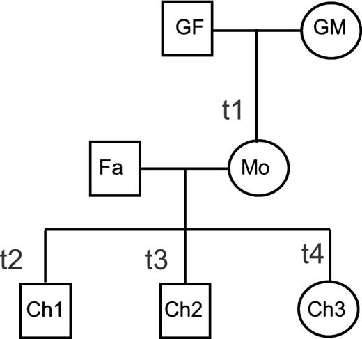 Pedigree of the three-generation family consisting of seven family members from whom the tandem repeats were sequenced. The four trios are indicated with t1, t2, t3 and t4. In the first 454 runs, samples GF, GM, Fa and Mo were sequenced. In the second run, samples Mo, Ch1, Ch2 and Ch3 were analyzed. GF: grandfather; GM: grandmother; Fa: father; Mo: mother; Ch1–3: child 1–3.