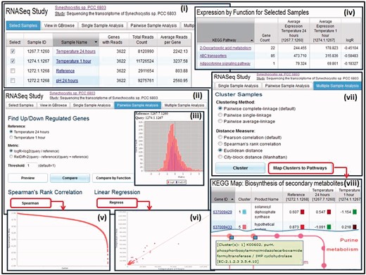 RNA-Seq data comparison. (i) RNA-Seq sample comparison starts with the selection of samples of interest. (ii) ‘Pairwise Sample Analysis’ supports comparing samples in terms of up/downregulated genes, with (iii) a histogram preview helping setting the thresholds for comparison. (iv) The result of the comparison can be examined in terms of functions, whereby genes associated with KEGG pathways or COG functions are grouped together. (v) The strength of the association of gene expression between pairs of samples can be examined using ‘Spearman’s Rank Correlation’. (vi) ‘Linear Regression’ analysis helps estimate whether two samples are technical replicates. (vii) ‘Multiple Sample Analysis’ consists of clustering samples based on the abundance of expressed genes, using a variety of clustering methods. (viii) Clusters of samples can be examined in the context of pathways, whereby enzymes are displayed with colors representing the cluster.
