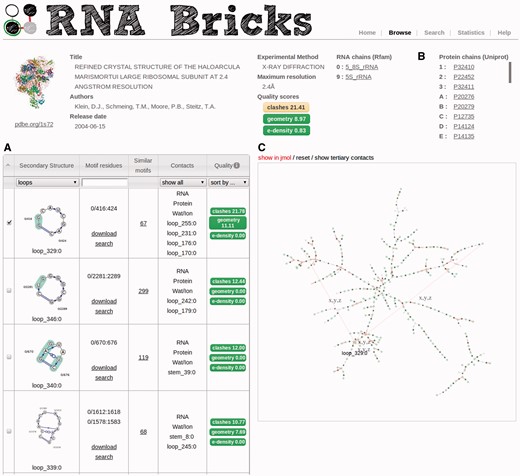 RNA Bricks网络界面显示了海星门氏菌大核糖体亚单位（PDB:1S72）的详细信息。VARNA图（A）上的绿色光环表示与蛋白质接触的核糖核苷酸残基。