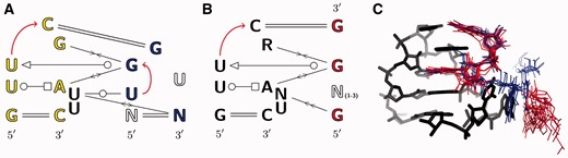 tRNASec（A）和tRNA（B）Rfam家族中涉及T环的两种相互作用模式。黄色字母表示查询核苷酸，R表示嘌呤，N表示任何核苷酸。右侧图（C）显示了以3.0º或更高分辨率求解的非冗余含RNA晶体结构集合中所有高质量片段的叠加。仅描述了T形回路的一个代表（黑线）。蓝线和红线分别代表在tRNASec和tRNA家族中观察到的保守核苷酸。