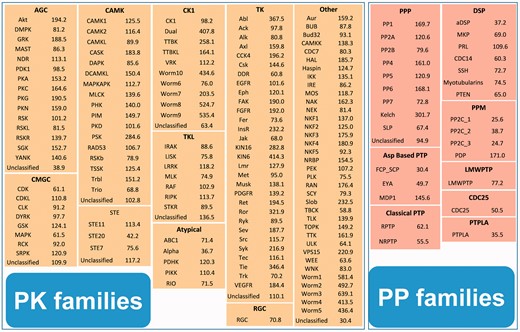 The cutoff values of the 139 and 27 HMM profiles for the PK and PP families. The hmmsearch calculates both the E-values and log-odds likelihood scores for given sequences (17). Because the E-values depend on the database size and generate inconsistent results when the database is updated, we used realistic constant log-odds likelihood scores as the threshold values.