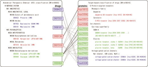 BRITE mapping of the predicted drug–target interactions. Left and right panels show BRITE functional hierarchies for drugs and human proteins, respectively. Solid and dotted gray lines represent known and predicted drug–protein interactions, respectively.