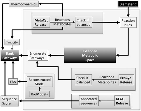 XTMS server curation process. (i) Metabolic reactions and metabolites are collected from the MetaCyc release; (ii) Data in MetaCyc is filtered in order to keep only balanced reactions; (iii) Metabolic reactions and metabolites are collected from the Ecocyc release; (iv) Data in EcoCyc is filtered in order to keep only balanced reactions; (v) The Retropath algorithm is applied in order to compute pathways producing heterologous compounds; (vi) Sequences encoding enzymes in the pathways are taken from the KEGG release and scored; (vii) Estimation of Gibss-free energies for the reactions is obtained from MetaCyc; (viii) Toxicity of metabolites is obtained from the EcoliTox server.