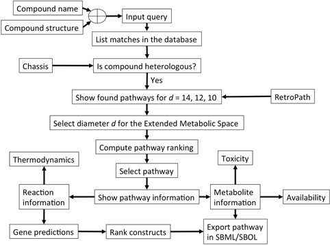 Schematic representation of the query process in the XTMS server. After the user inputs a query compound, pathways for heterologous compounds that match the query are retrieved from the Extended Metabolic Space by RetroPath. After selecting a desired diameter, pathways and constructs are ranked and information about reactions and metabolites is provided, with the possibility of downloading the desired construct in SBML/SBOL format.