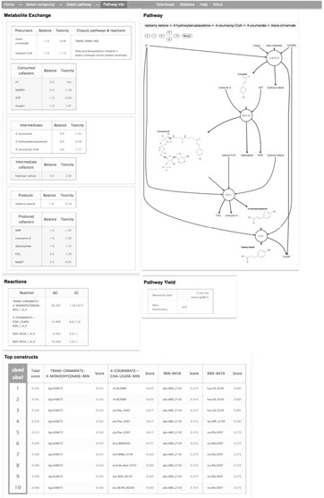 Example of pathway information page generated by XTMS. An interactive graphical depiction of the pathway is rendered along with four tables corresponding to reaction information, metabolite exchange information, pathway yield and list of top 10 predicted constructs.