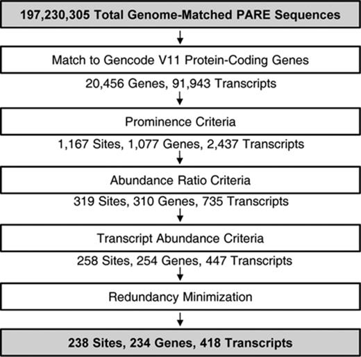 Computational pipeline for identifying SMG6 targets. Input and final output are highlighted in gray. The data were filtered in five steps described in detail in Supplementary Methods. Site refers to a unique PARE MaxSeq in a gene. The pipeline did not include any step intended to favor the presence of a TC near the PARE MaxSeq.