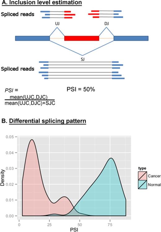 Identification of cancer-associated splicing events. (A) Reads that were gap-aligned to the genome were used to infer cassette exons.Estimation of the inclusion level (PSI) based on the number of reads supporting the exon–exon junctions that define the splicing event: UJ (upstream junction) and DJ (downstream junction) – reads supporting inner junctions, SJ (skipped junction) – reads supporting skipping junction. UJC, DJC and SJC are upstream, downstream, skipped junction read count, respectively. (B) PSI was calculated for each splicing event in all normal and tumor samples. Statistically significant changes between paired samples (tumor-normal) from the same individual are defined as cancer-associated splicing events. FBLN2 exon PSI distribution in breast tumors and normal samples is shown.