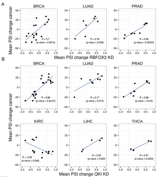 Correlation between RBFOX2 and QKI knockdown experiments and cancer splicing pattern changes. Scatter plot showing mean differences in PSIs of each cancer type of tumor versus normal samples and mean differences in PSIs of (A) RBFOX2 and (B) QKI; knockdown (46) versus control treatments.