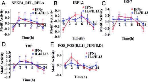 Motif activity response analysis of M(IFNγ) and M(IL-4/IL-13). Motif activity response analysis was performed using promoter activity profiles of M(IFNγ) and M(IL-4/IL-13), obtained from CAGE data. The identified top 5 motif activities with high activity change (z-acore >3 and delta motif activity change > 0.15) are shown in (A) NFKB1_REL_RELA, (B) IRF1,2, (C) IRF7, (D) TBP and (E) FOS_FOS{B,L1}_JUN{B,D}. The data is obtained from three independent biological experiments and plotted as mean ± SEM. The motif activity is calculated as relative value at each time point where summation of values for each stimulation series becomes zero.