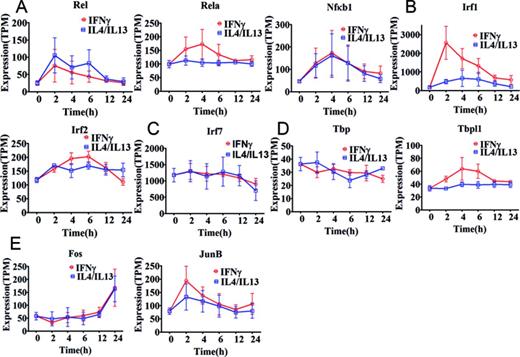 Expression profiles of transcription factors associated with top five motif activities. Expression of the associated transcription factor genes is shown as tags per million (TPM). Error bars were calculated based on the standard error of three replicates. (A) Transcription factors Rel, Rela and Nfκb1 associated with NFKB1_REL_RELA motif activity. (B) Transcription factors Irf1 and Irf2 associated with IRF1,2 motif activity. (C) Transcription factor Irf7 associated with IRF7 motif activity. (D) Tbp and Tbpl1 associated with TBP motif activity. (E) Fos, Fosl1, FosB, JunB and JunD associated FOS_FOS{B,L1}_JUN{B,D} motif activity. Fos and JunB are shown whereas FosB,Fosl1 and JunD are not shown because the expression remains close to the detection limit throughout the time course in M(IFNγ) and M(IL-4/IL-13).