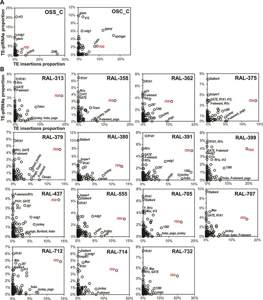 Comparisons of TE-directed piRNAs versus TE Insertions for OSS/OSC cells and DGRP fly strains. Scatterplots compare the relative proportions of TE-directed piRNAs and TE insertions for each sample in (A) OSS and OSC cells and (B) DGRP fly strains with sequenced piRNAs and genomes sequenced by Illumina. The roo transposon is highlighted for its exceptionally high proportion of strain-specific insertions despite the high proportions of roo-directed piRNAs.