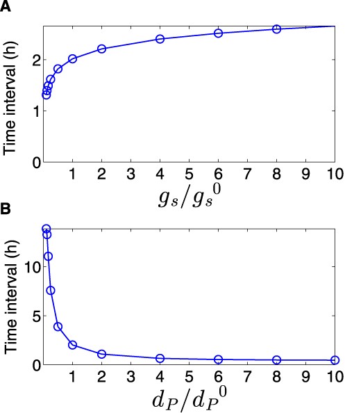 Time interval between the down-regulation of target 1 and up-regulation of target 2. The time interval in this analysis is defined as the difference between the time it takes for targets 1 and 2 to reach halfway to their new steady states upon activation of the sRNA. The time interval, obtained from simulations based on the deterministic model, increases with sRNA transcription rate (A) and decreases with TF degradation rate (B). The values of $g_s^0$ and $d_p^0$ are reported in Table S1.