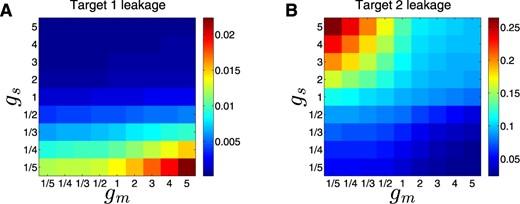 Prevention of expression leakage by the DSS. Shown are leakage levels (represented by a color scale) of target 1 (A) and 2 (B), as a function of fold-changes in RNA generation rates of the top sRNA regulator (gS, y-axis) and the bottom TF regulator (gm, x-axis), obtained from simulations based on the deterministic model. All other parameter values are kept constant, so that the expression level of the regulators, and hence their strength, depends on the change in their RNA generation rates. Sustaining low expression leakage for both targets requires a fine balance between the relative strengths of the two regulators involved in the DSS. The parameter values used in these simulations are reported in Table S1.