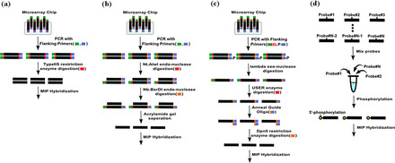Comparison of MIP preparation protocols. (a) Microarray-based probe preparation method used in this study. (b and c) Conventional microarray-based methods. (d) Column-based probe preparation method.