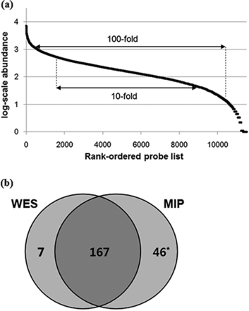 Capture uniformity and precision of the microDuMIP method. (a) Capture uniformity of the microDuMIP capture method. The graph compares the rank-ordered probe list (x-axis) versus the log-scale captured read abundance (y-axis); 98% of probes were detected at least once. A total of 61.3% of the capture regions were within a 10-fold range and 88.2% within a 100-fold range, which are comparable to results obtained with conventional capture methods, 57–58%, and 88–93%, respectively. (b) Comparison of microDuMIP captured SNPs with consensus SNPs. The number of SNPs in targeted regions of NA12878. WES: whole exome sequencing (Bottle consortium data); MIP: molecular inversion probe capture (500 ng of gDNA, 24-h hybridization time) *Of 46 SNPs called by MIP capture only, 37 loci were validated by Sanger sequencing, and 33 of 37 SNPs (89%) were determined to be true SNPs.