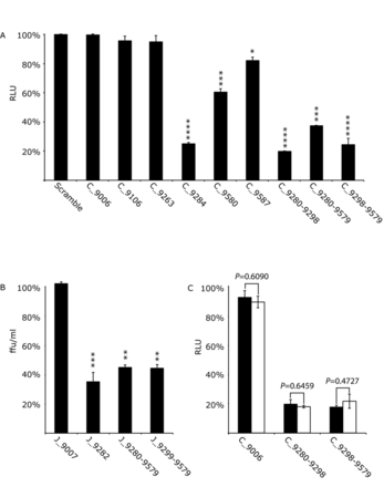 The effect of SL9266/PK antisense-LNAs on replication and translation in Huh 7.5 cells of the Con1b-luc-rep sub-genomic replicon and replication of J6/JFH-1 virus. Results represent the average of at least three independent assays, and are expressed as a percentage of control transfections/infections lacking antisense-LNAs or scrambled LNA-oligonucleotides (error bars indicate the standard error from the mean and stars the degrees of significance from untreated controls). (A) Con1b-luc-rep: Relative luciferase levels (Firefly/Renilla) were measured 24 h post-RNA transfection. (B) J6/JFH-1 HCVcc: Replication was measured as focus forming units/ml (ffu/ml) 24 h post-infection in the presence of antisense-LNAs. (C) Relative luciferase levels (Firefly/Renilla) from transfected Con1b-luc-rep RNA compared to a replication defective mutant bearing a GDD>GND mutation within the active site of RdRp. Relative luciferase levels were measured 6 h post-transfection and expressed as a percentage of control transfections for either the wild type (filled black bars) or GND mutant (open bars). Significance between corresponding wild type and GND mutants indicated.