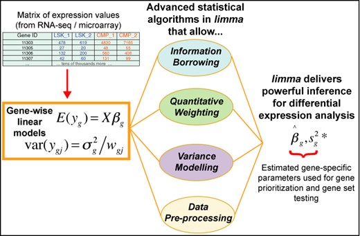 Schematic of the major components that are central to any limma analysis. For each gene g, we have a vector of gene expression values (yg) and a design matrix X that relates these values to some coefficients of interest (βg). The limma package includes statistical methods that (i) facilitate information borrowing using empirical Bayes methods to obtain posterior variance estimators ($s^{2*}_g$), (ii) incorporate observation weights (wgj where j refers to sample) to allow for variations in data quality, (iii) allow variance modelling to accommodate technical or biological heterogeneity that may be present and (iv) pre-processing methods such as variance stabilization to reduce noise. These methods all help improve inference at both the gene and gene set level in small experiments.