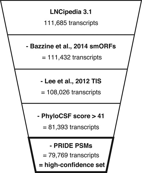 Transcripts with a likely coding potential are removed in the definition of a high-confidence set. Transcripts containing small open reading frames (25), translation initiation sites (24), PhyloCSF score greater than 41 or PSMs with an identification confidence higher than 90% are excluded.